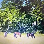 Chez Tobi Nocleg ze śniadaniem Bazincourt-sur-Epte