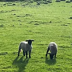 Chez Tobi 3* Bazincourt-sur-Epte