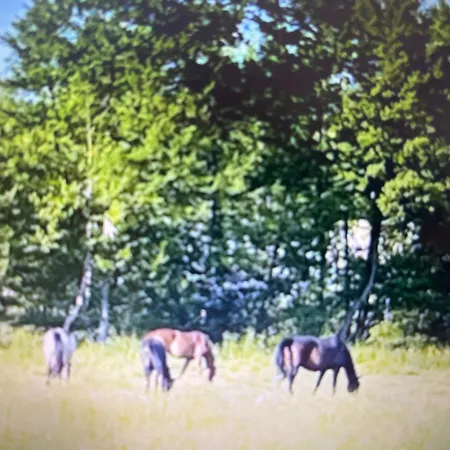 Chez Tobi Panzió Bazincourt-sur-Epte